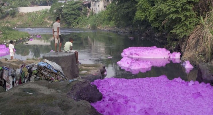 purple water